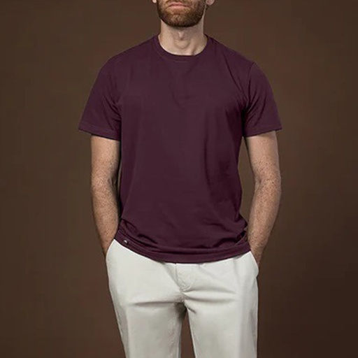 Men's T Shirt (CBJS-14/13|SLM)